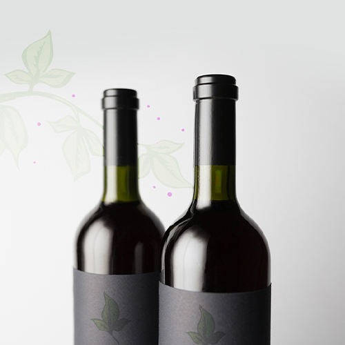 vinum-templum-accueil-responsive
